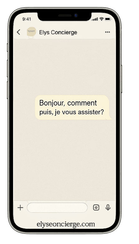 WhatsApp conversation example